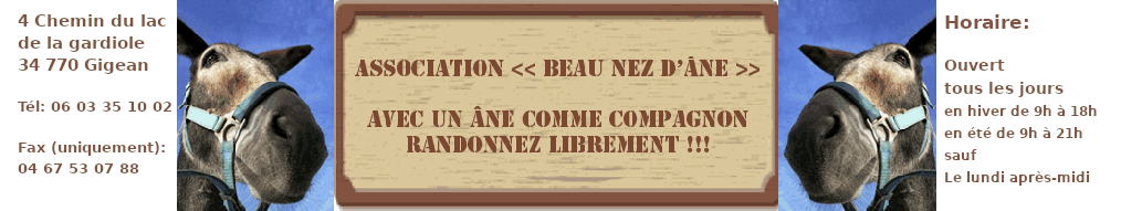 beaunezdane.com